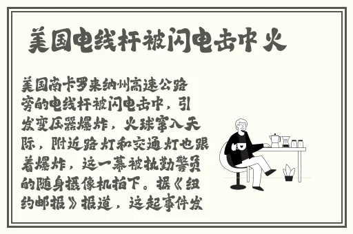 樱花官网官方入门网站2024